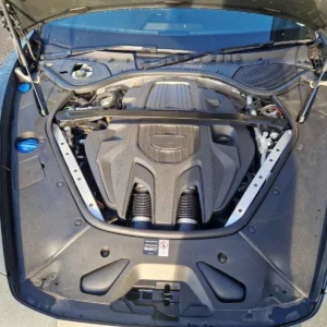 Porsche Panamera DGP-544PS Motor 2.9L Benzin 2025 536,40 PS 5371 KM