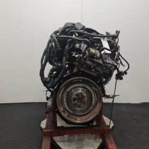 VOLKSWAGEN POLO DLAC RDE2 Motor 1.0L Benzin 2021 93,70 PS SPARES & REPAIRS