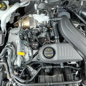 AUDI Q2 MK1 GA 16-25 1.5 Benzin Motor DXDB 18k KM Run And A69856